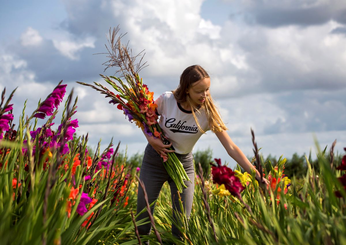 Bloemen plukken in de pluktuin in Bakkum